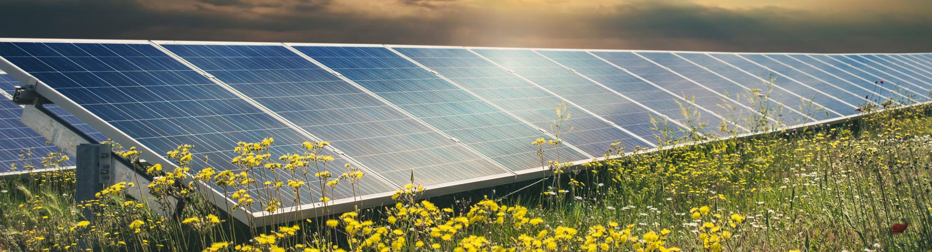 INTEGRATED SOLUTIONS FOR THE SOLAR INDUSTRY INTEGRATED SOLUTIONS FOR THE SOLAR INDUSTRY